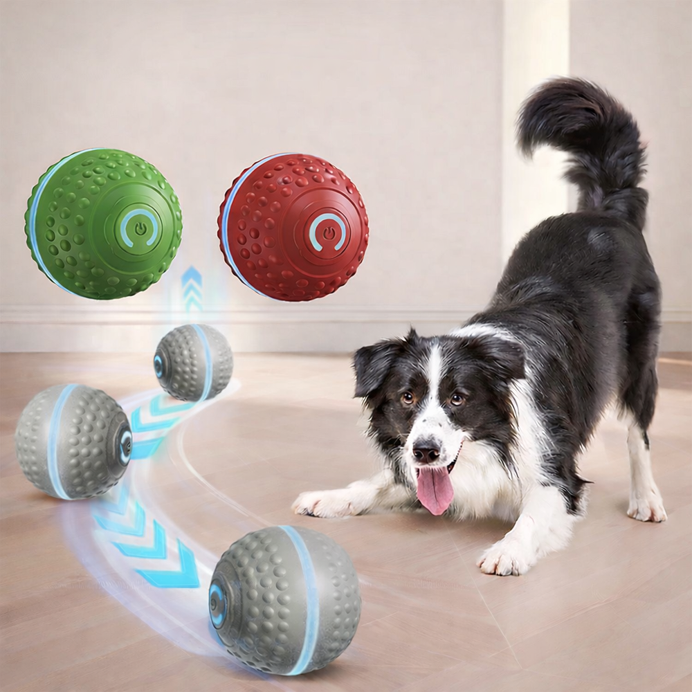 ZoomPaw™ Electric Rolling Ball